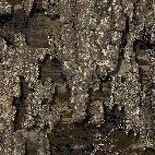 64