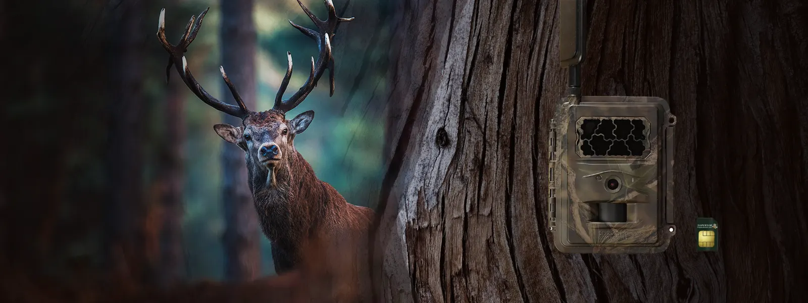 hunting camera