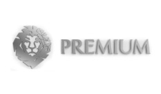 premium visa