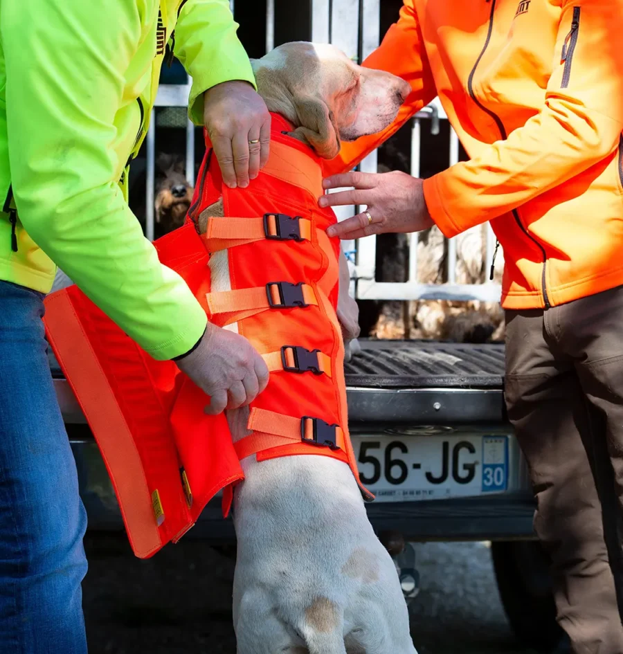CANIHUNT PROTECT VEST DOG ARMOR 3