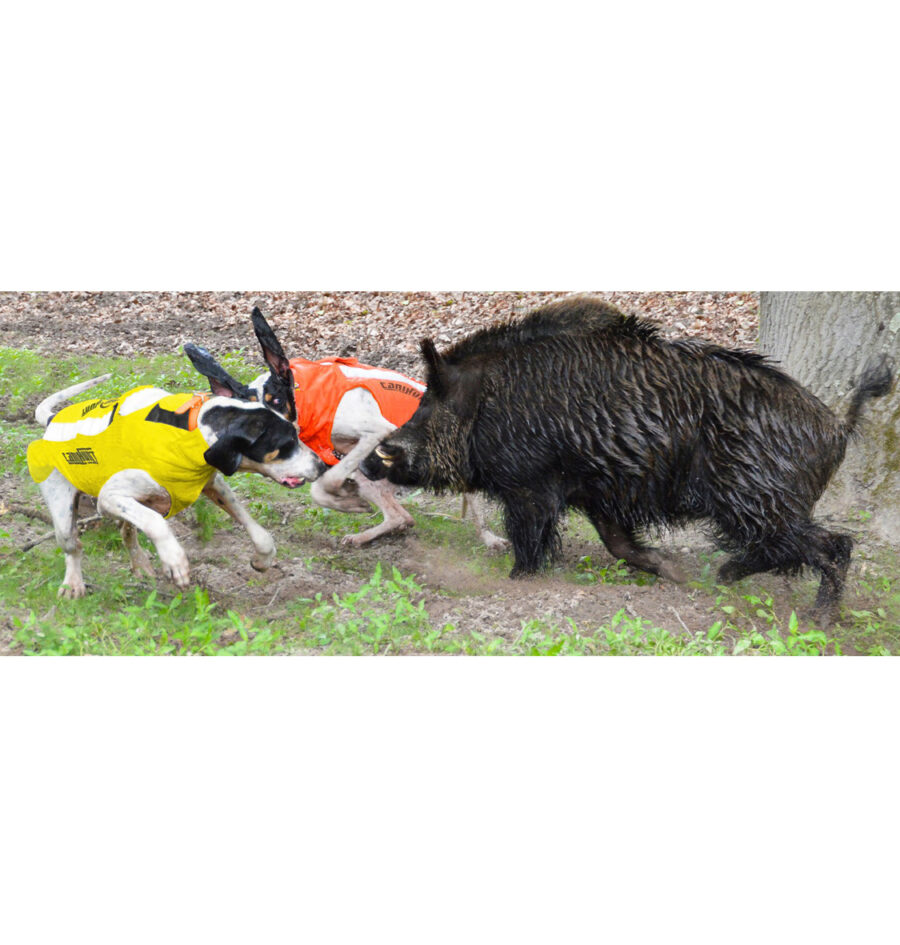 CANIHUNT PROTECT VEST PRO CANO4