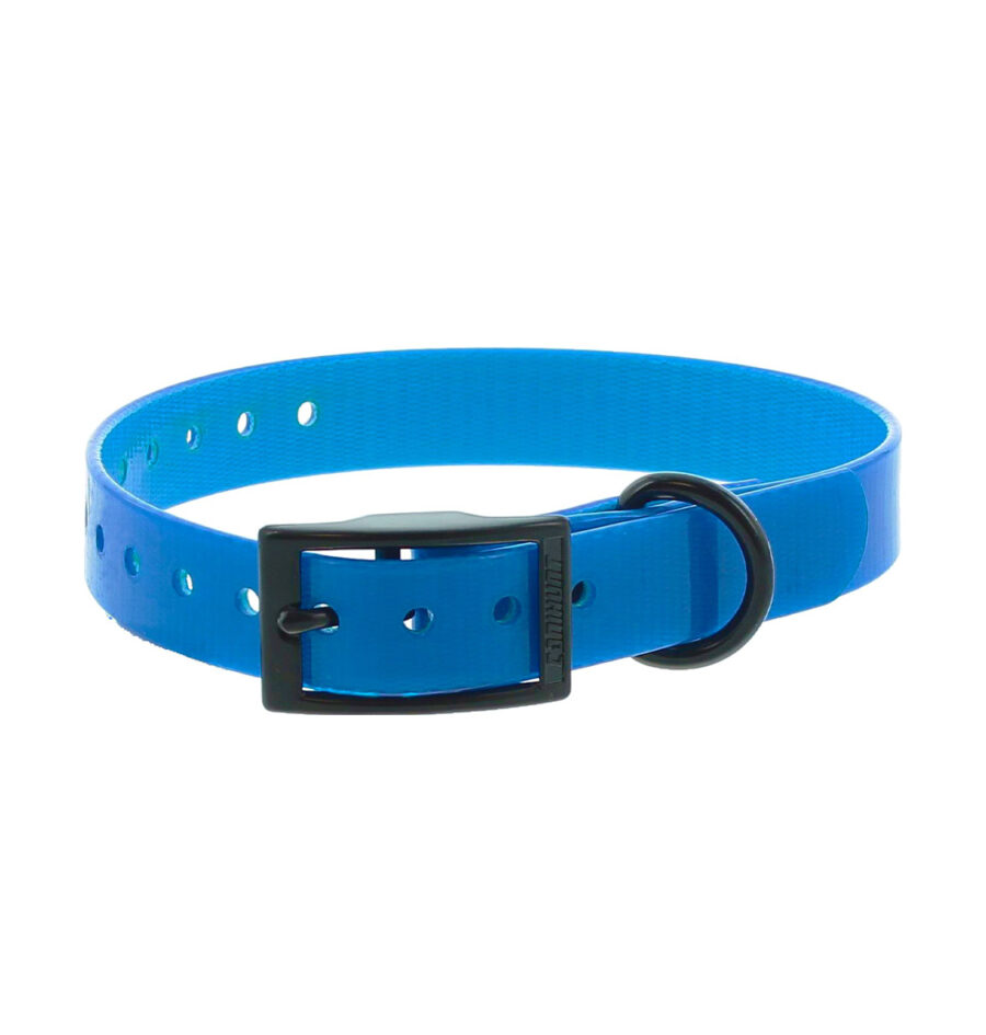 Canihunt collar extreme blue