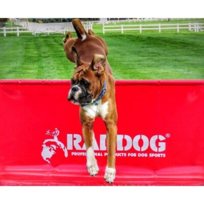 Jump RADDOG 1m transportable 1