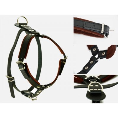leather padded harness for defence female 1
