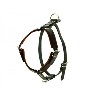 leather padded harness for defence male