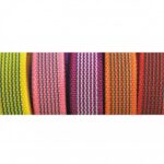 rubbered leash 120m20mm with handle 4