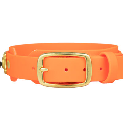dog collar for tracking neon orange biothane white background 1 1200