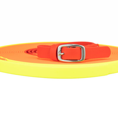 training leash neon yellow neon orange classic red biotyhane white background 1 1200